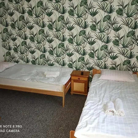 Auberge de jeunesse Amigos *